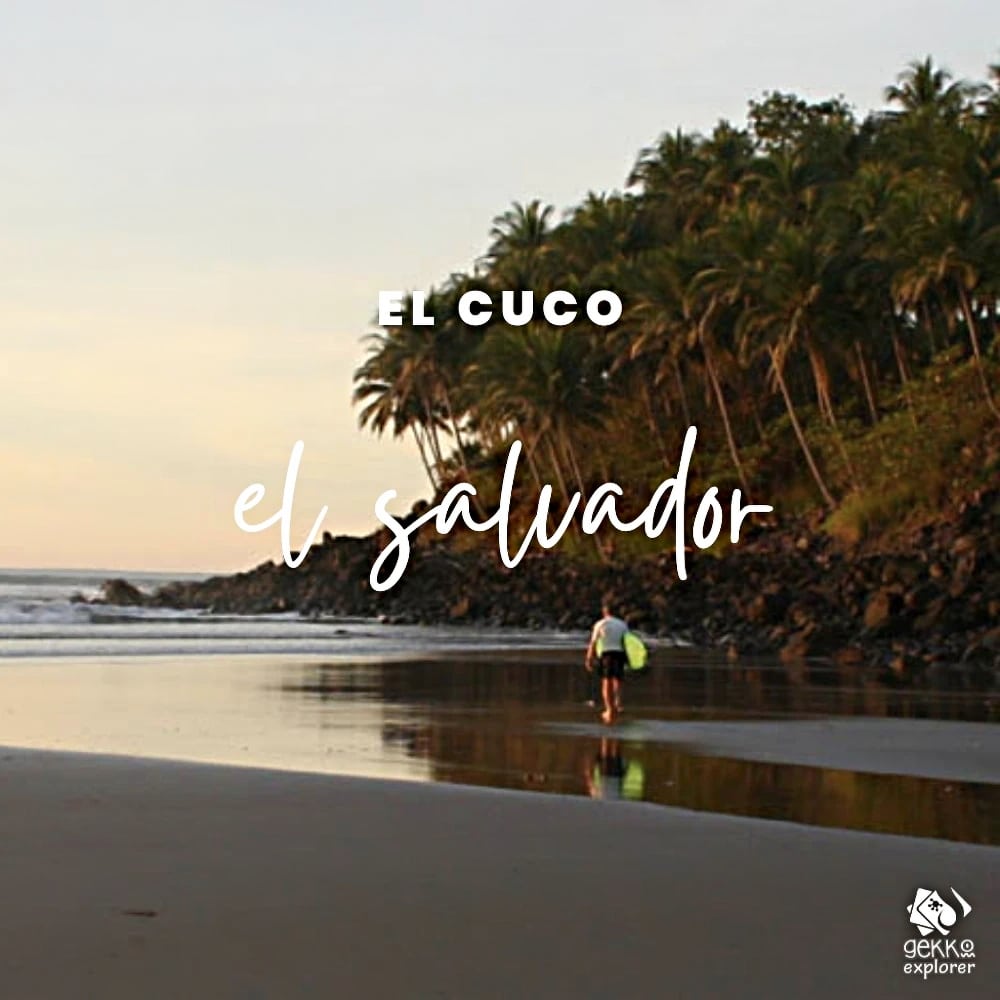 el cuco el salvador el cuco el salvador