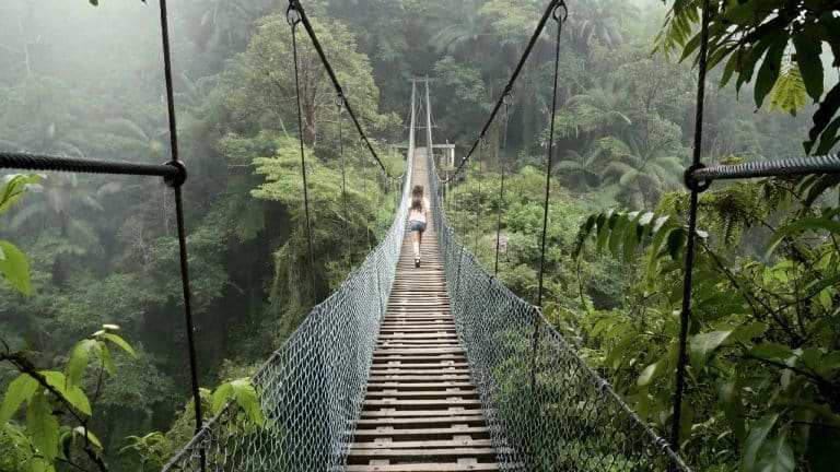 Monteverde
